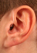 Picture of a Person Ear